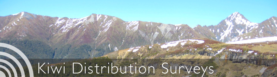 Wildlife Acoustics Surveys Banner